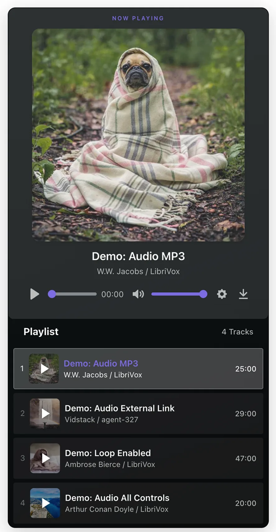 Audio Playlist with Now Playing Card